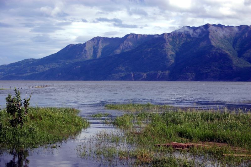 070404 Hope Hatcher Montana Creek (10014)